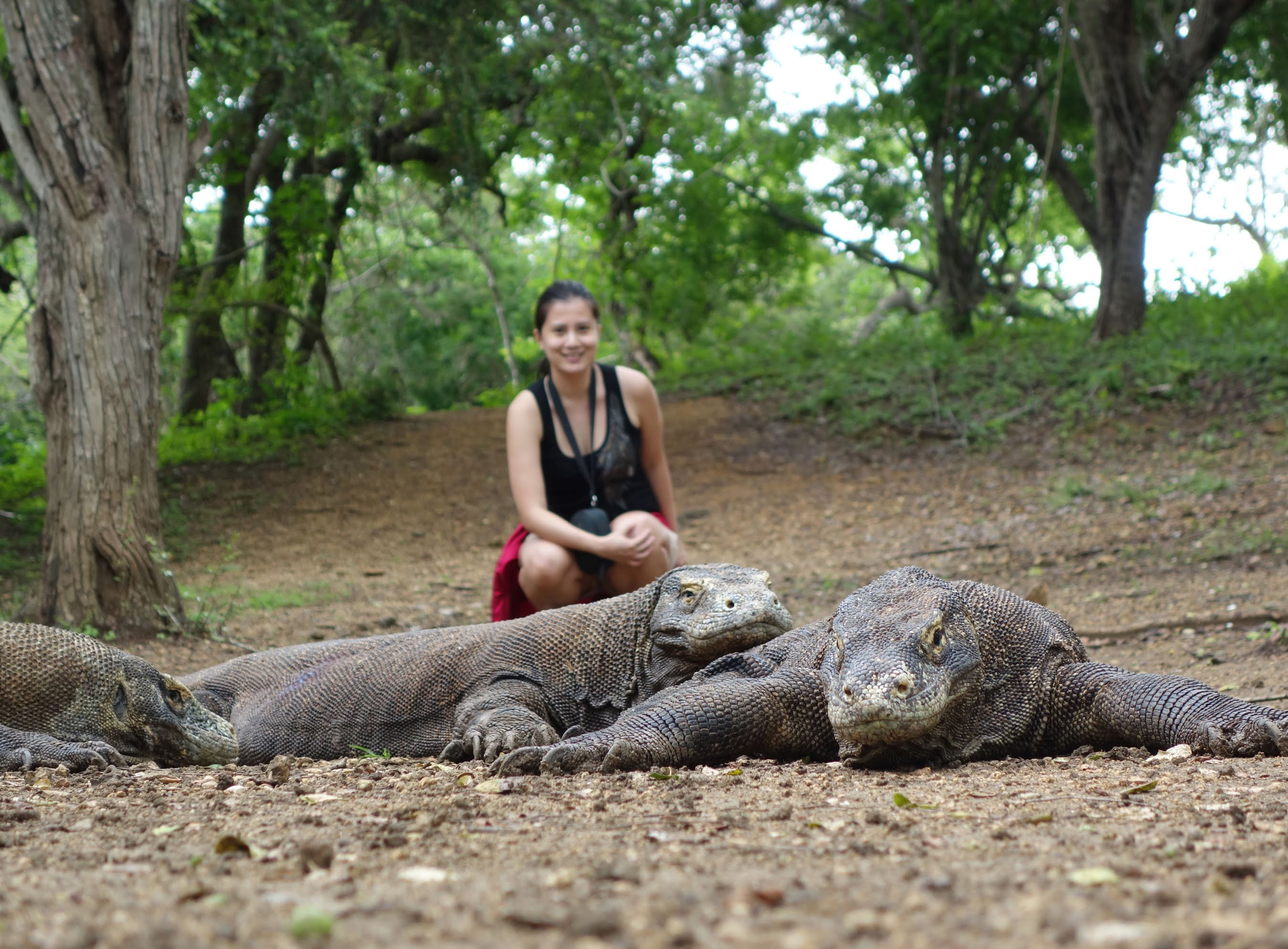 Private Trip to Rinca Island   Long Adventure