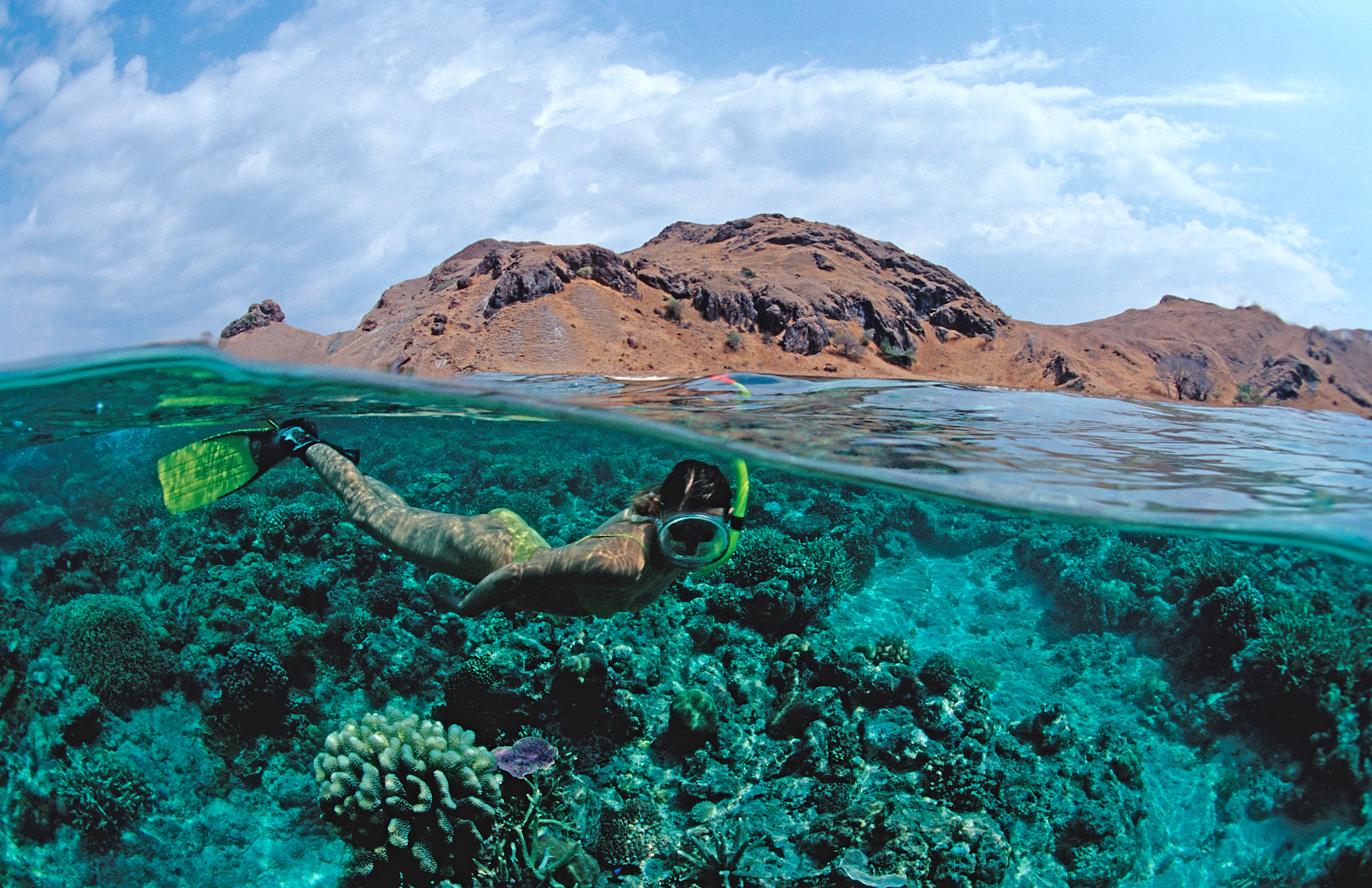Komodo Private Trip 4 Days 3 Nights