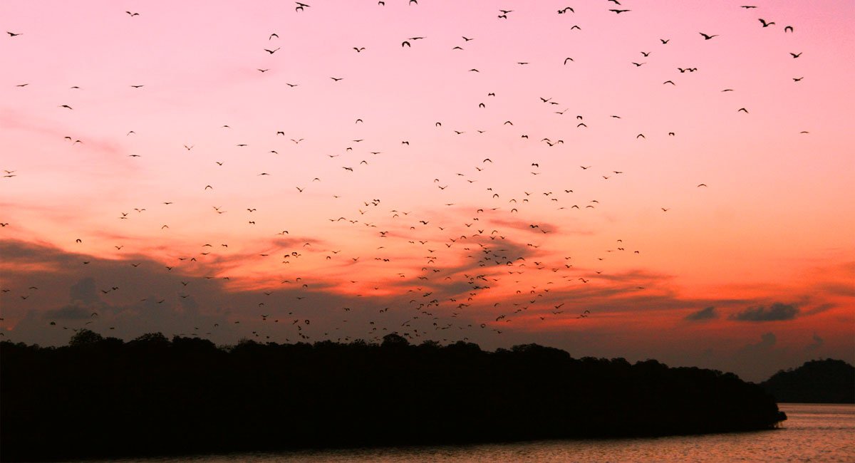 Komodo Sunset Trip Half day